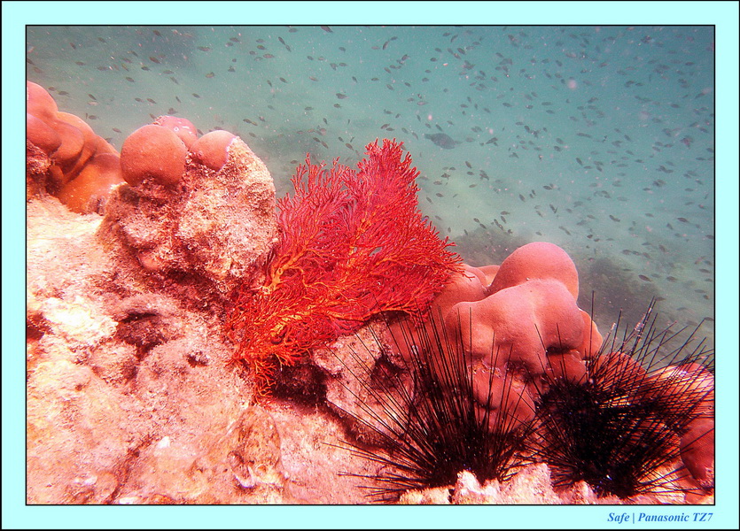 2012 - 03 - Koh Kradan 09